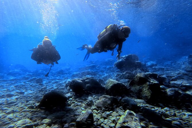 Chania | Try Scuba Diving | Introduction Dive - Price and Value: What You’re Paying For (And Why It Makes Sense)