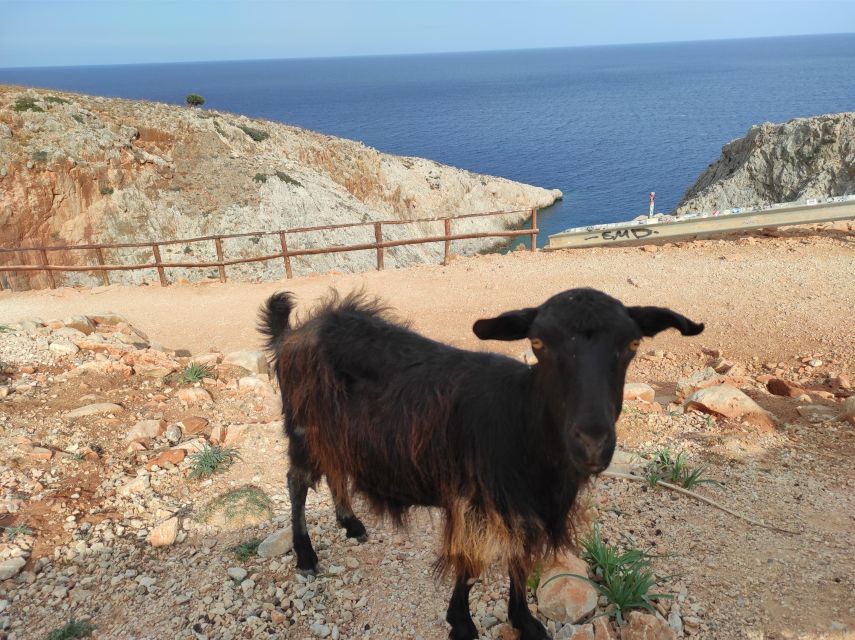 Chania Villages Private Tour: Explore the Authentic Crete! - Lunch support, snacks, and the food stops that actually matter