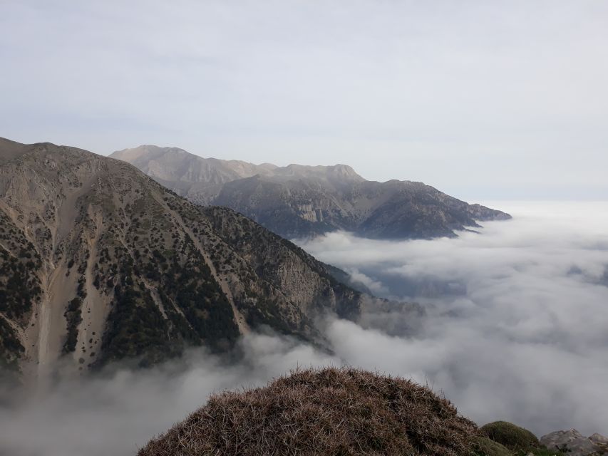 Chania: White Mountains Safari Tour with Lunch and Tastings - White Mountains 4WD With Village Tastings From Chania