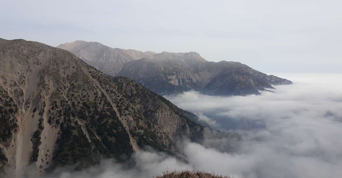 Chania: White Mountains Safari Tour with Lunch and Tastings - Anoskeli Olive Mill and Winery: Five Wines and Local Oil 101