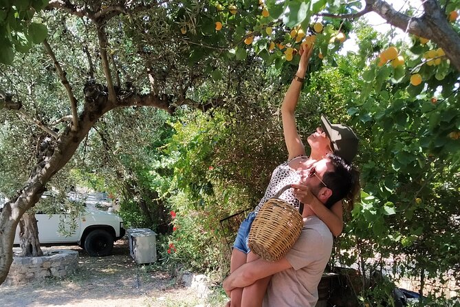 Cooking Lesson in Heraclion - Cretan classics you’ll actually cook: from zucchini balls to stuffed vegetables