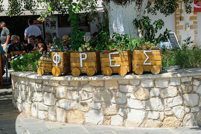 Cretan Delights - Wine, Olive Oil & Cooking Workshop from Chania - The food tastings and Cretan lunch you’ll actually remember