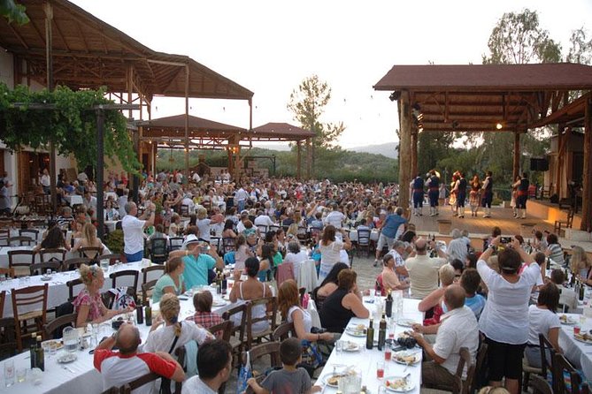 Cretan Folklore Night with Live Music, Dance, and Greek Dinner - A Cretan Night at Cretan Holidays