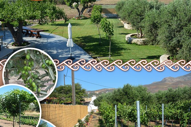 Cretan Traditional Cooking Lessons - Why This Metochi Farms Class Feels More Like Dinner With Family