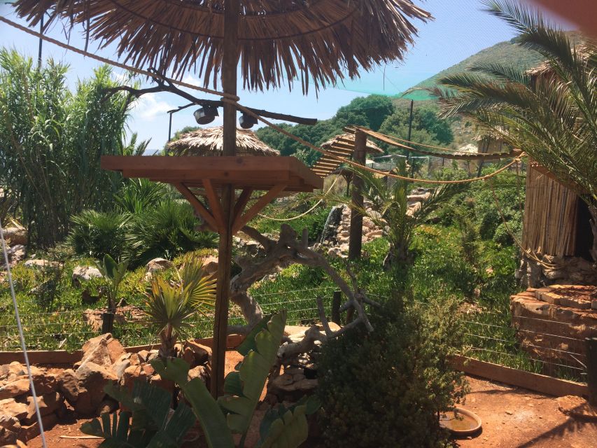 Crete: Agios Nikolaos, Kritsa and Amazonas Park Day Trip - Amazonas Park Sanctuary: Parrots, Monkeys, Conservation, and the Best Ways to Spend Your Time