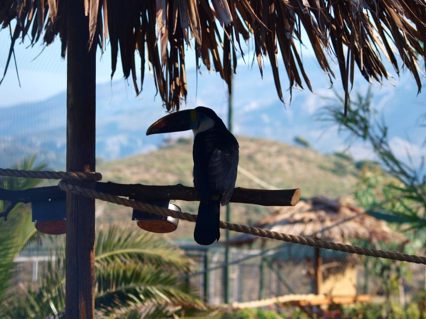 Crete: Agios Nikolaos, Kritsa and Amazonas Park Day Trip - Price and What You Really Get for $61