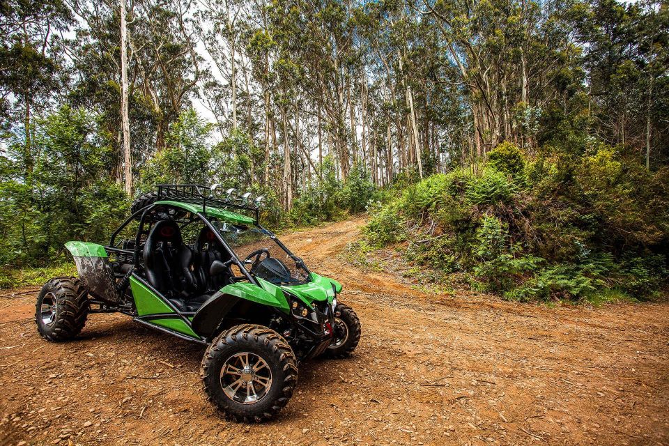Crete buggy safari - Neapoli and the Vasilakis Olive Factory: the tour that actually matters