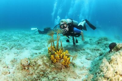 Crete-Chania: Snorkeling & Scuba Dive for Beginners by Boat - Blue Cave Snorkeling: Your Easy Entry Into Crete’s Underwater World