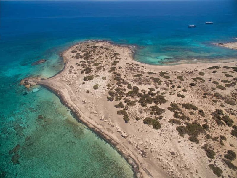 Crete: Chrissi Island Yacht Cruise with Lunch & Snorkeling - Lunch on Board: Local Ingredients, Real-Time Timing