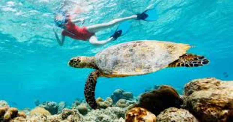 Crete: Coastline Snorkeling Cruise from Hersonissos Port - Who This Cruise Fits Best (and Who Should Skip)