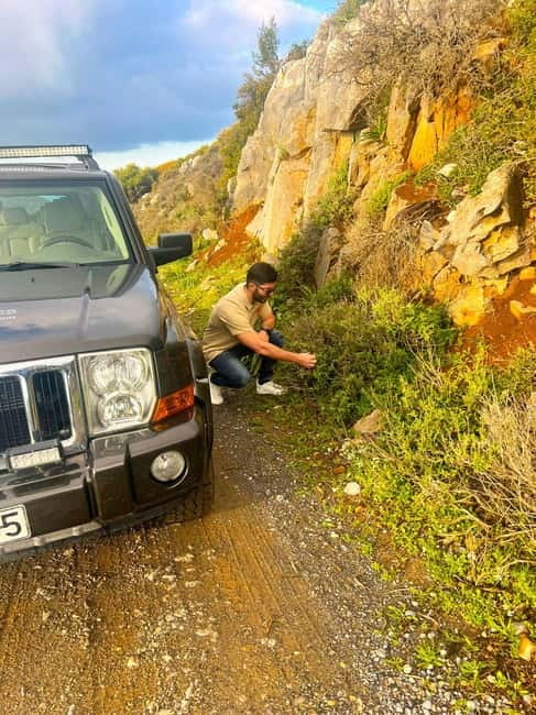 Crete: Explore Lassithi Plateau, Myths & Cretan Cuisine - Up to Around 1,100 Meters: Wildlife Spotting and the Mountain Break