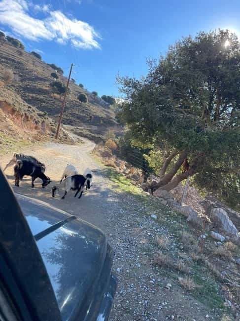 Crete: Explore Lassithi Plateau, Myths & Cretan Cuisine - Lunch on the Plateau: Traditional Taverna, Wine, Water, and Raki Energy
