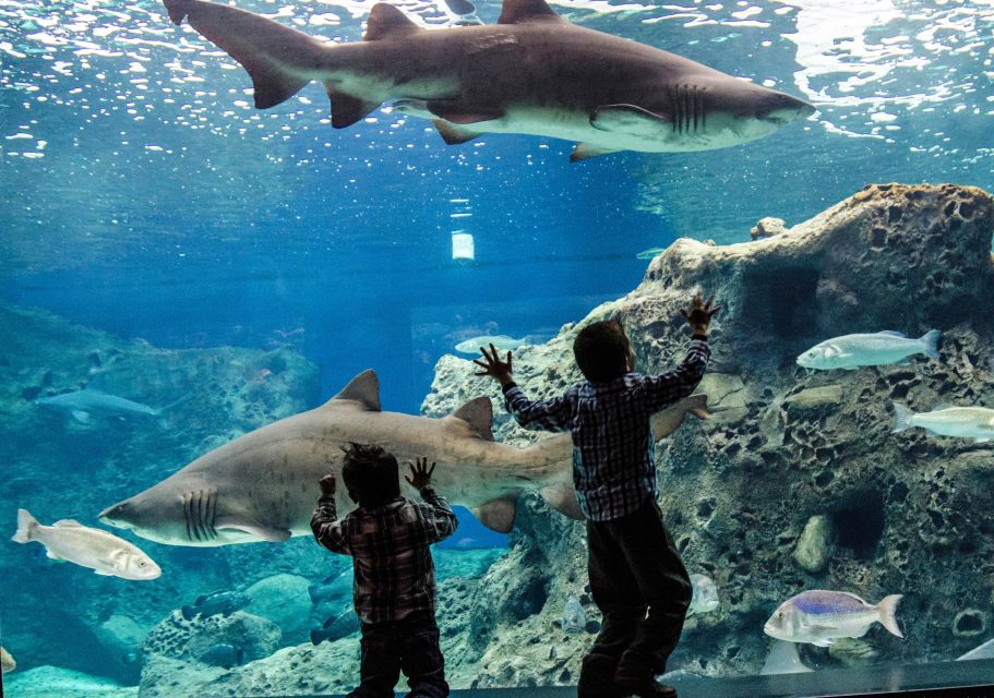 Crete: Heraklion Center, Local Market and Creta Aquarium - Who This Tour Fits Best (and Who Should Rethink It)