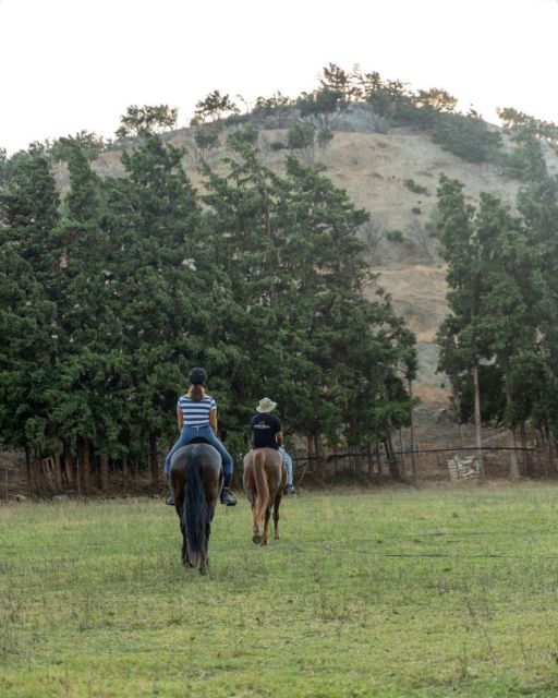 Crete Horse Riding: Cretan Countryside Ride - Key things to know before you book