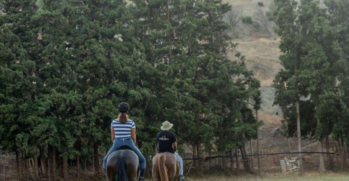 Crete Horse Riding: Cretan Countryside Ride - The real value of the $68 price: what you get for one hour