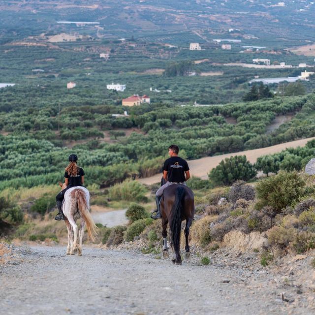 Crete Horse Riding: Cretan Countryside Ride - Language and communication: English, German, and Greek help a lot