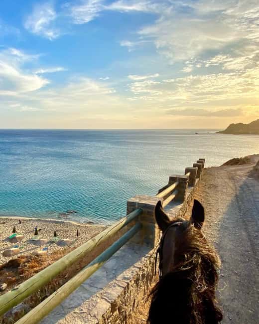 Crete Horse Riding: East Coastline Ride - Key points before you ride