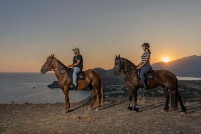 Crete Horse Riding: East Coastline Ride - Olive groves, rural roads, and why the pace feels right