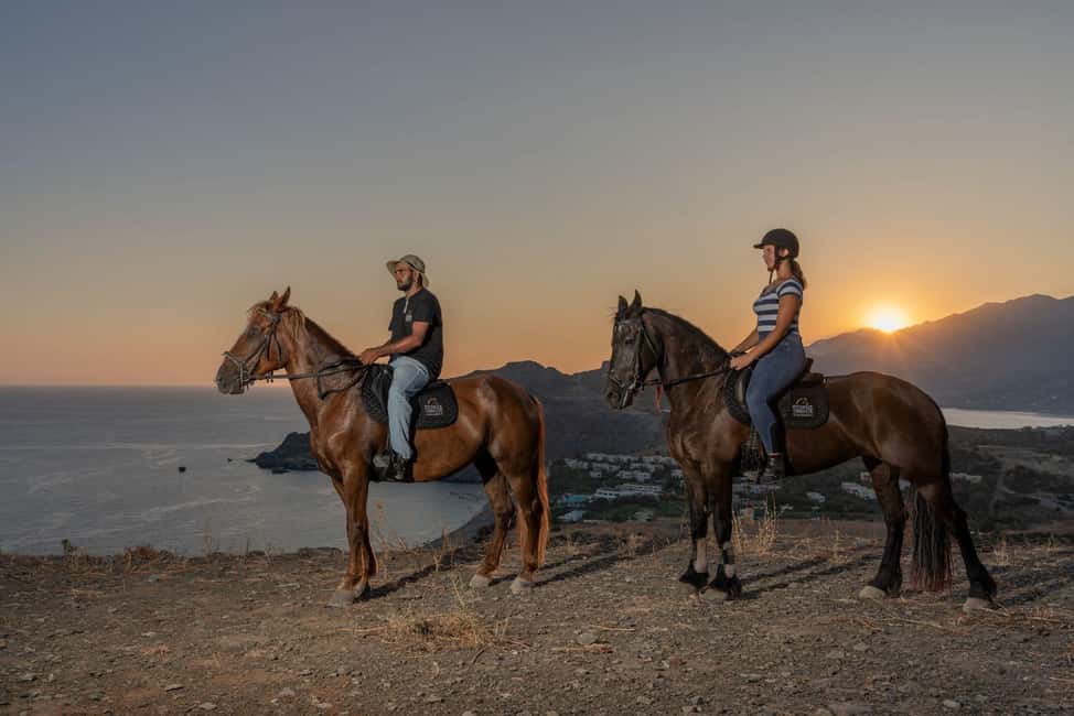 Crete Horse Riding: East Coastline Ride - Olive groves, rural roads, and why the pace feels right
