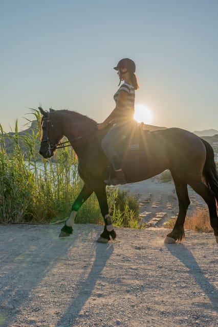 Crete Horse Riding: Mesmerising Sunset Ride - Timing, language, and communication that affects your day