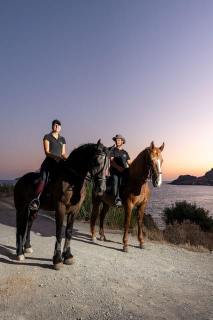 Crete Horse Riding: Mesmerising Sunset Ride - The 1.5-hour ride: olive groves, guided trails, and a steady pace