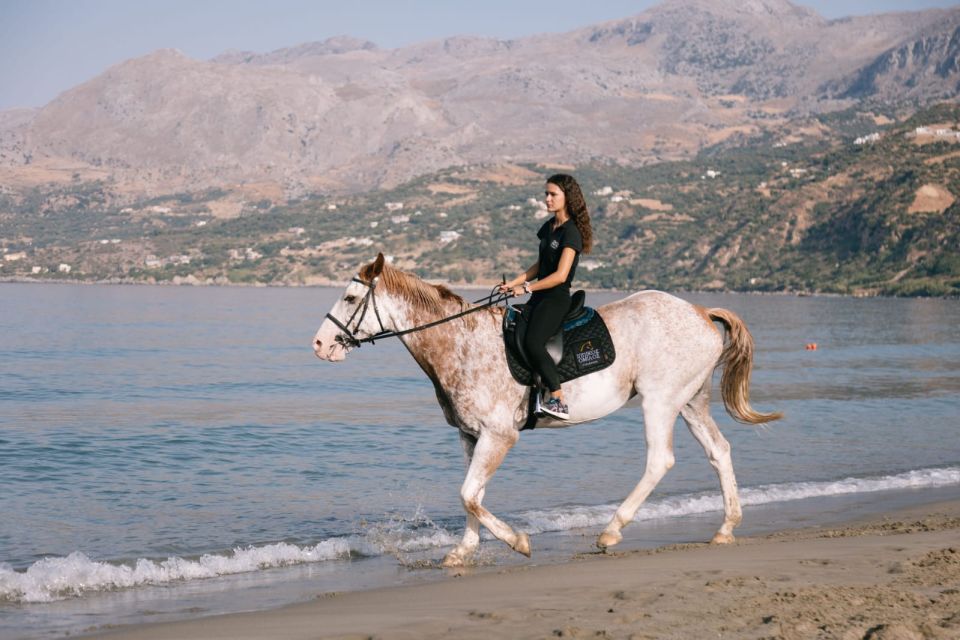 Crete Horse Riding: Plakias Beach Ride - Should you book the Crete Horse Riding: Plakias Beach Ride?