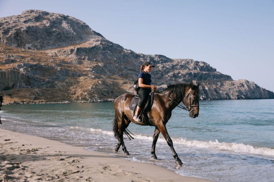 Crete Horse Riding: Plakias Beach Ride - The 1.4 km sandy shoreline canter: what it’s like in practice