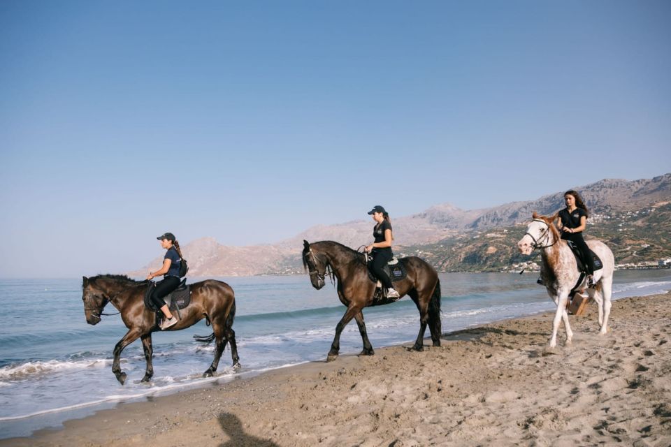 Crete Horse Riding: Plakias Beach Ride - Safety and horse comfort: what’s actually provided