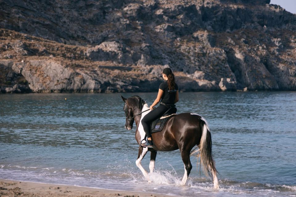 Crete Horse Riding: Plakias Beach Ride - Price and value: is $153 for 2 hours fair?