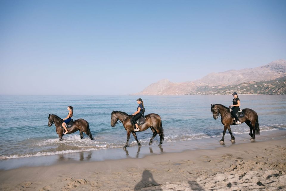 Crete Horse Riding: Plakias Beach Ride - Who should book this Plakias Beach ride