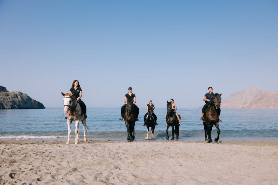 Crete Horse Riding: Plakias Beach Ride - From the Plakias Horse Riding Center to the coast in olive groves