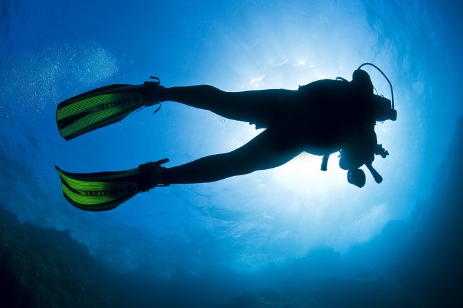 Crete Introductory Scuba Diving Experience - Gear Provided, So You Can Focus on Breathing and Buoyancy