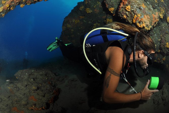 Crete Introductory Scuba Diving Experience - Timing and Transfers: When Your Day Might Run Long
