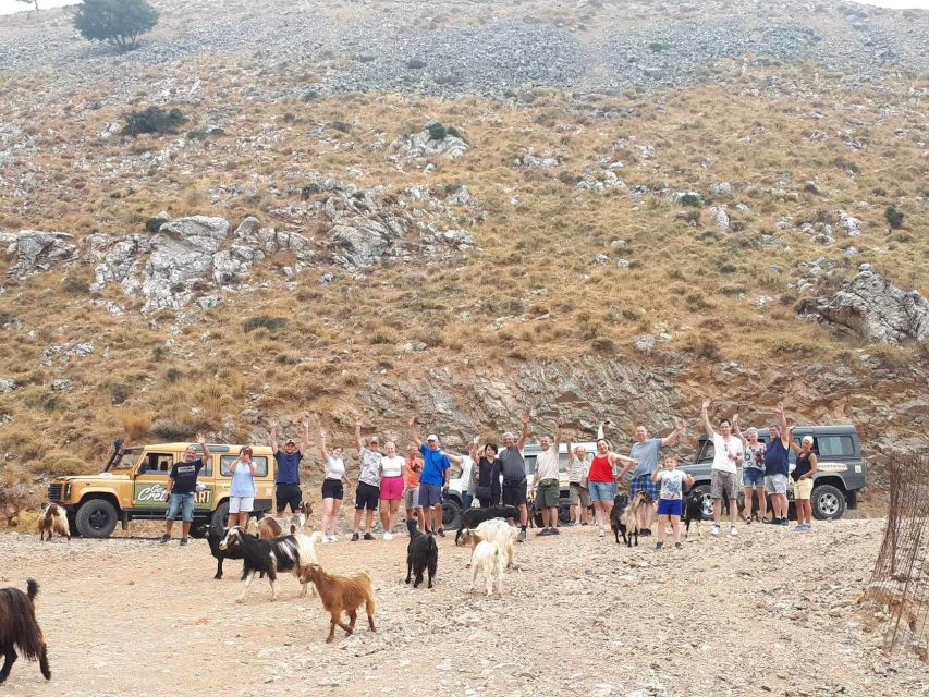 Crete: Jeep Safari Wine & Olive Oil testing Shepherd's House - Thrapsano: the olive oil and wine thread starts to connect