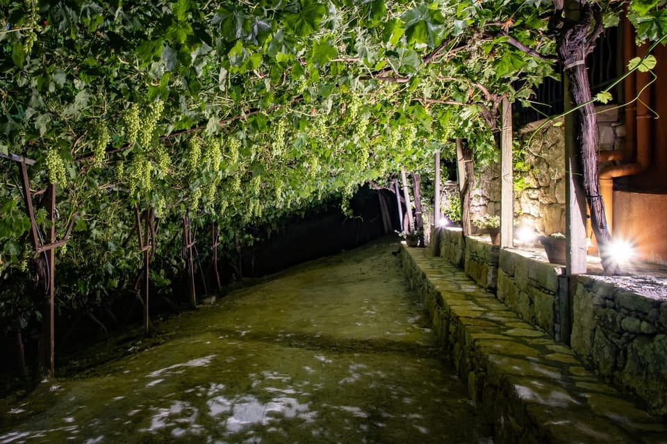 Crete: Jeep Safari Wine & Olive Oil testing Shepherd's House - Herb gathering with goats: the “rural Crete” moment