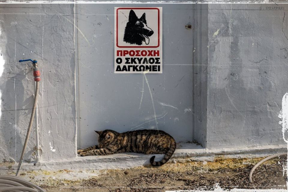 Crete: Knossos Palace and Museum Skip the line Guided tour - Heraklion on Your Own: Shopping, Cafés, and the City Feel