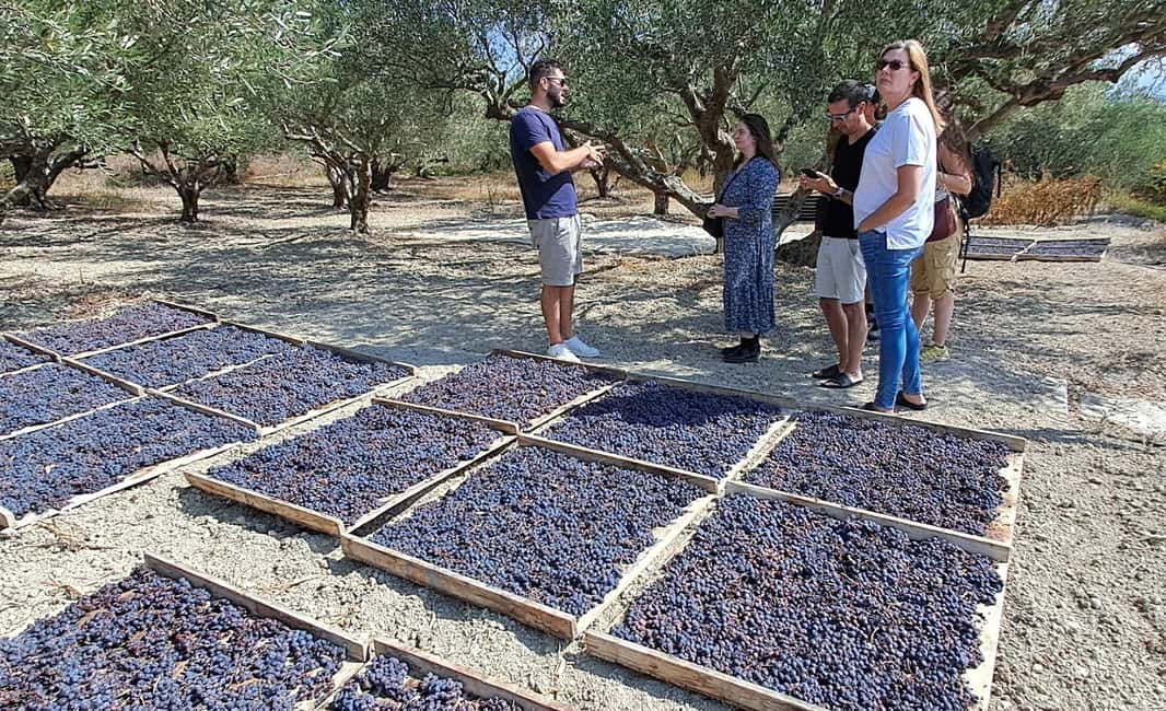 Crete: Knossos Palace, Winery & Olive Oil Tour with Lunch - Olive oil tasting: the part that can surprise you