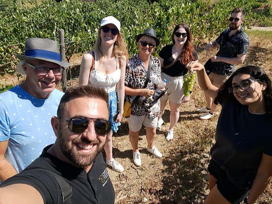 Crete: Knossos Palace, Winery & Olive Oil Tour with Lunch - Transport and timing: a stress-free day in a small group