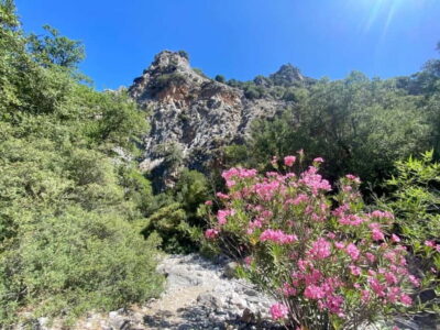 Crete: Kritsa Canyon Guided Hiking Tour - Pickup From 14 Towns: How Getting There Shapes the Day