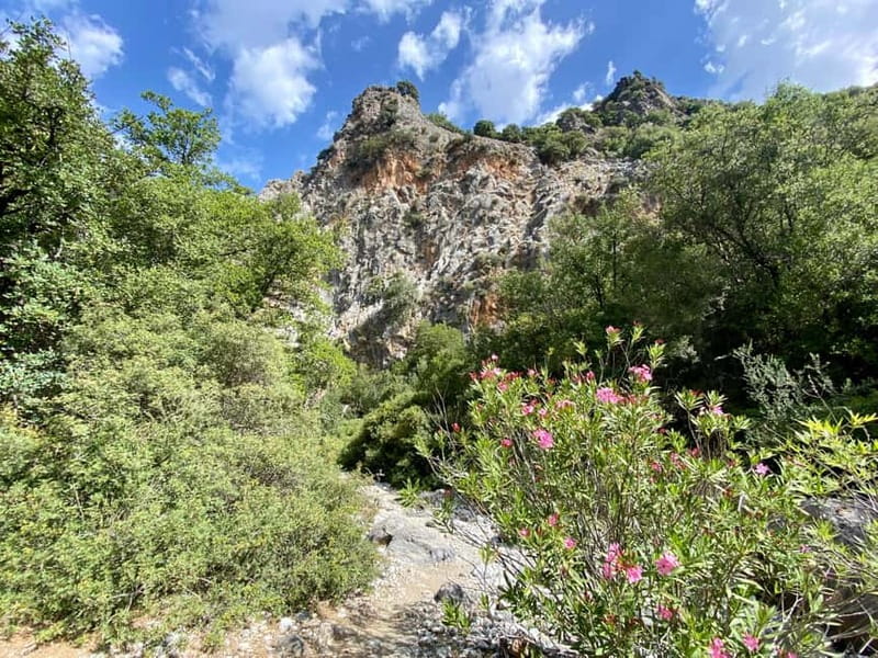 Crete: Kritsa Canyon Guided Hiking Tour - The Village Stop: Your 1-Hour Reset in Traditional Kritsa