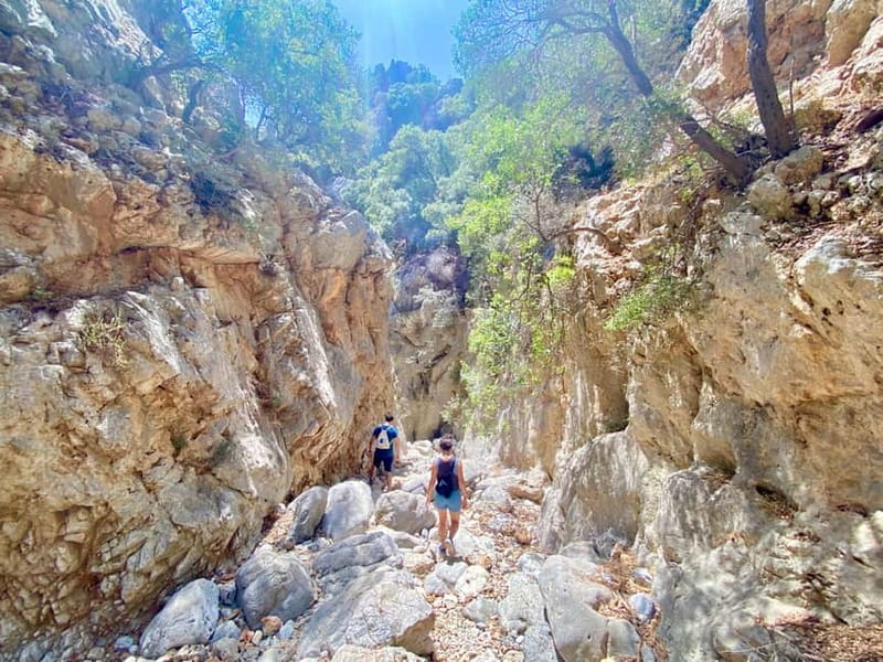 Crete: Kritsa Canyon Guided Hiking Tour - Guide + Small Group: Why It Feels Personal (and Safer)