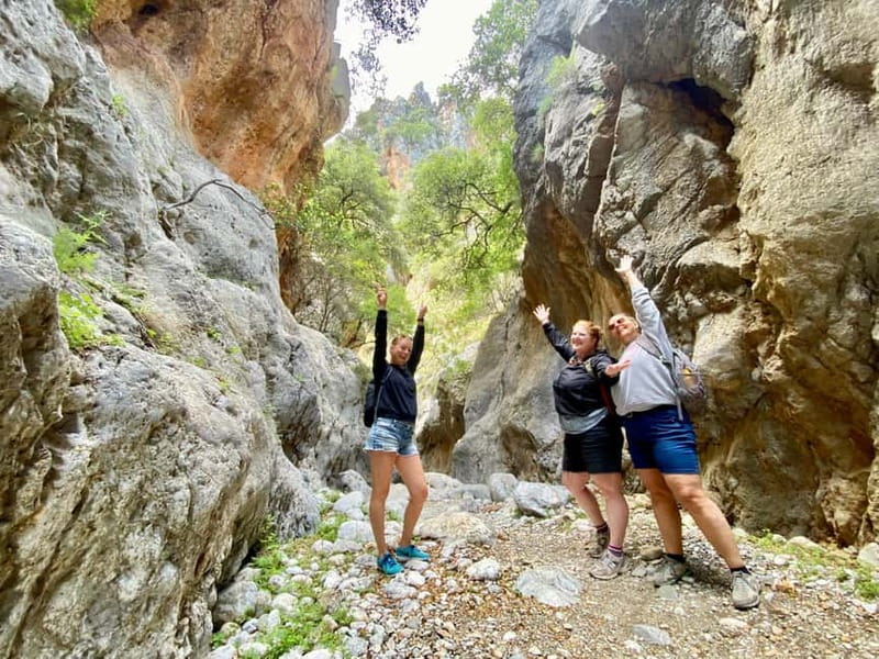 Crete: Kritsa Canyon Guided Hiking Tour - Who This Hike Fits Best (and Who Might Want Another Plan)