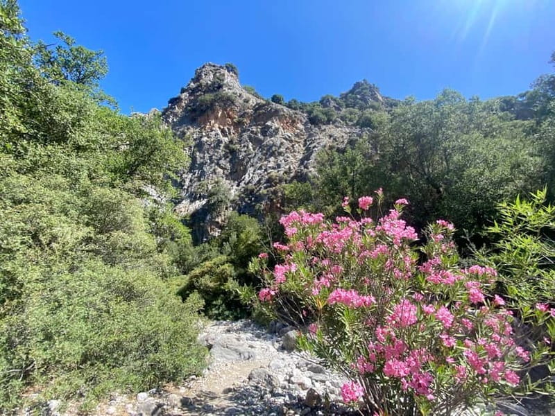 Crete: Kritsa Canyon Guided Hiking Tour - Pickup From 14 Towns: How Getting There Shapes the Day