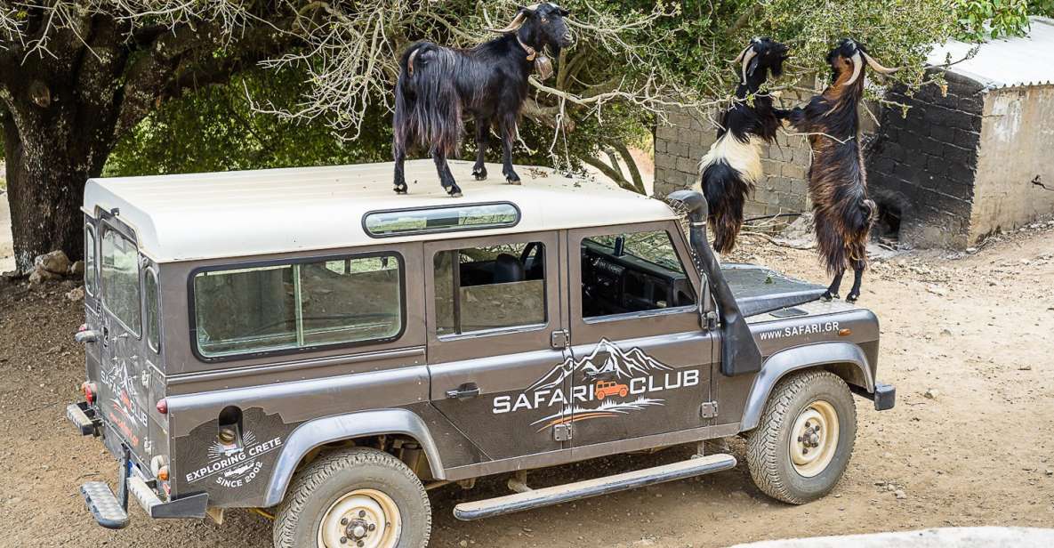 Crete: Land Rover Safari on Minoan Route - Pickup From Piskopiano and the Day’s Pace