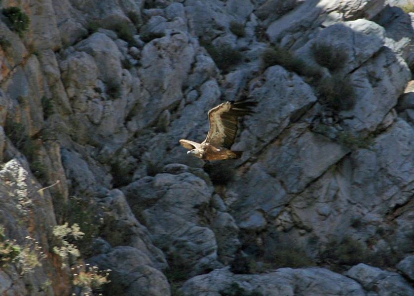 Crete: Land Rover Safari Through Katharo Plateau - Why this Katharo Plateau Land Rover day feels different