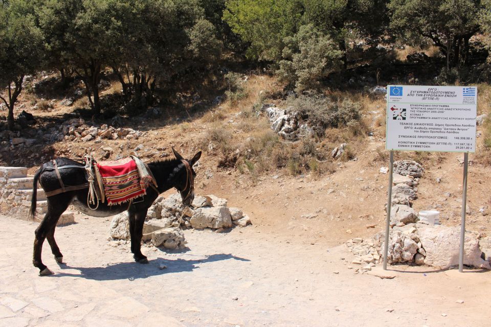 Crete: Land Rover Safari Through the Plateaus - Kastamonitsa Breakfast Before the Mountain Passes