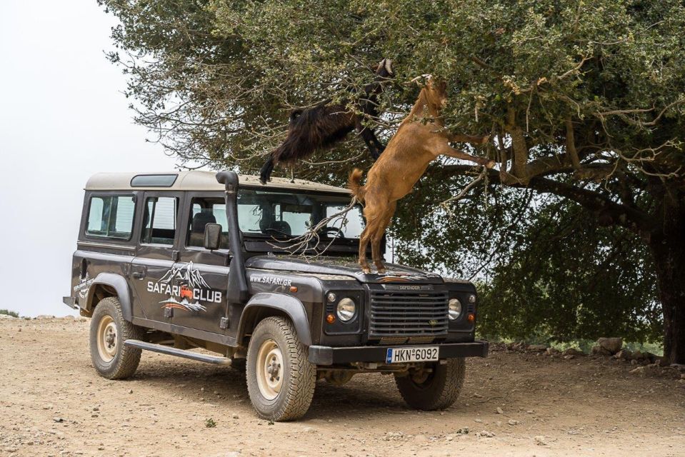 Crete: Land Rover Safari Through the Plateaus - Krasi Sycamores and Springs for a Peaceful Reset