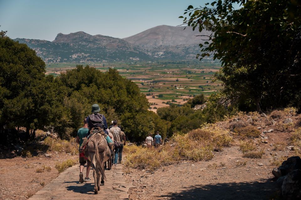 Crete: Lasithi Plateau & Knossos Palace Tour - The transport and pacing: good organization, but expect bus time