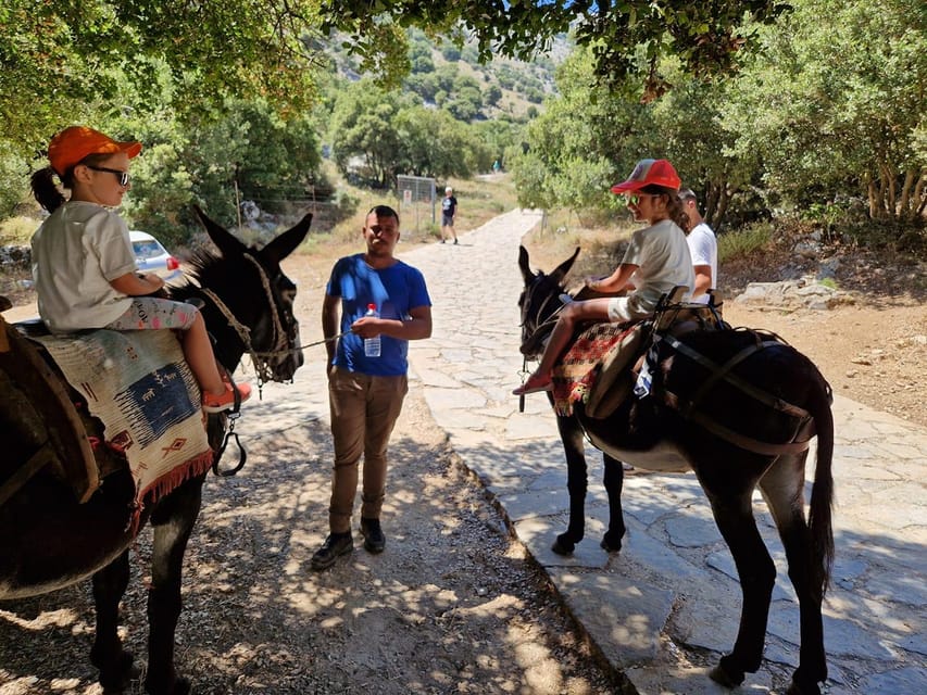 Crete: Lasithi Plateau Zeus Cave Guided Jeep Safari Tour - Lunch at a local tavern and the off-road dirt-route photo hour