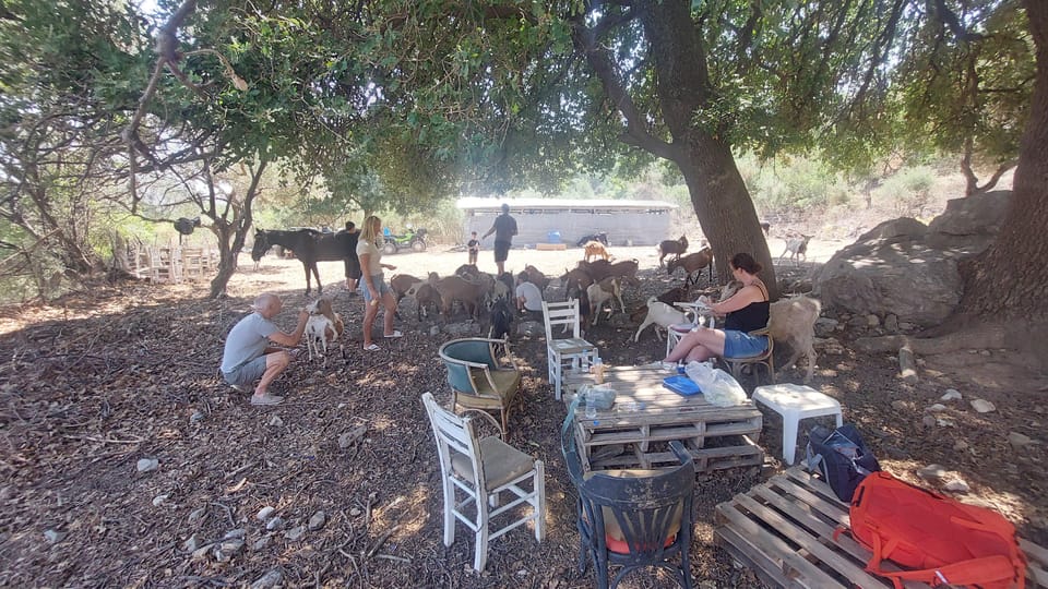 CRETE :MALIA HERSSONISOS QUADS ECOTOUR ADVENTURE - HIGH PERF - What the electric power system is really like on the trails